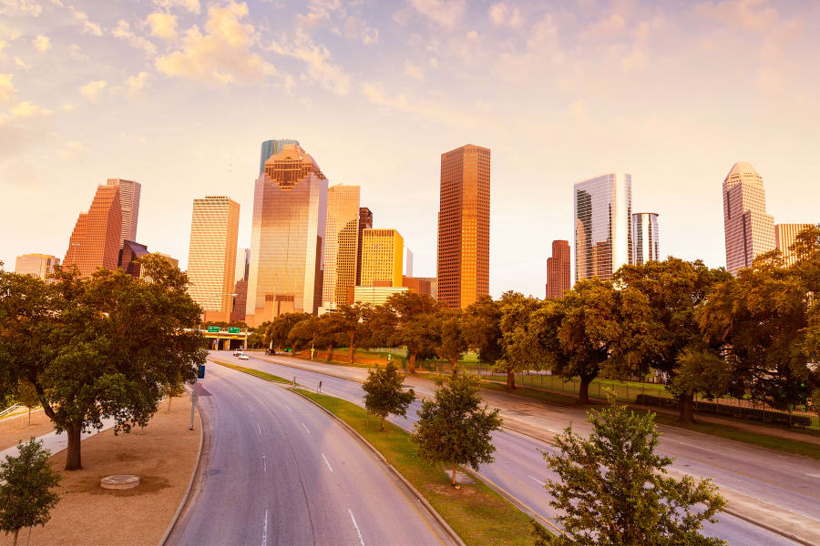 Mecum Houston 2026: Beyond Bidding with Road Art & Thrill Rides